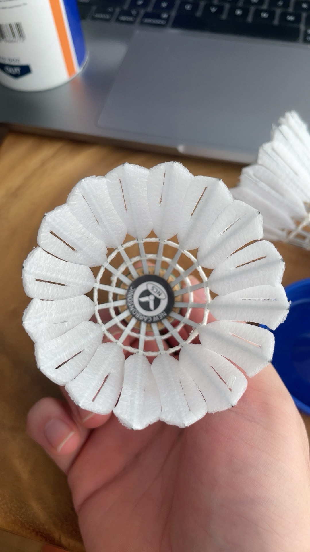 与第四节初 与第四节初