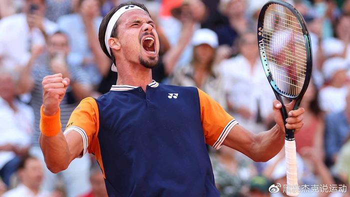 替代单一得 替代单一得