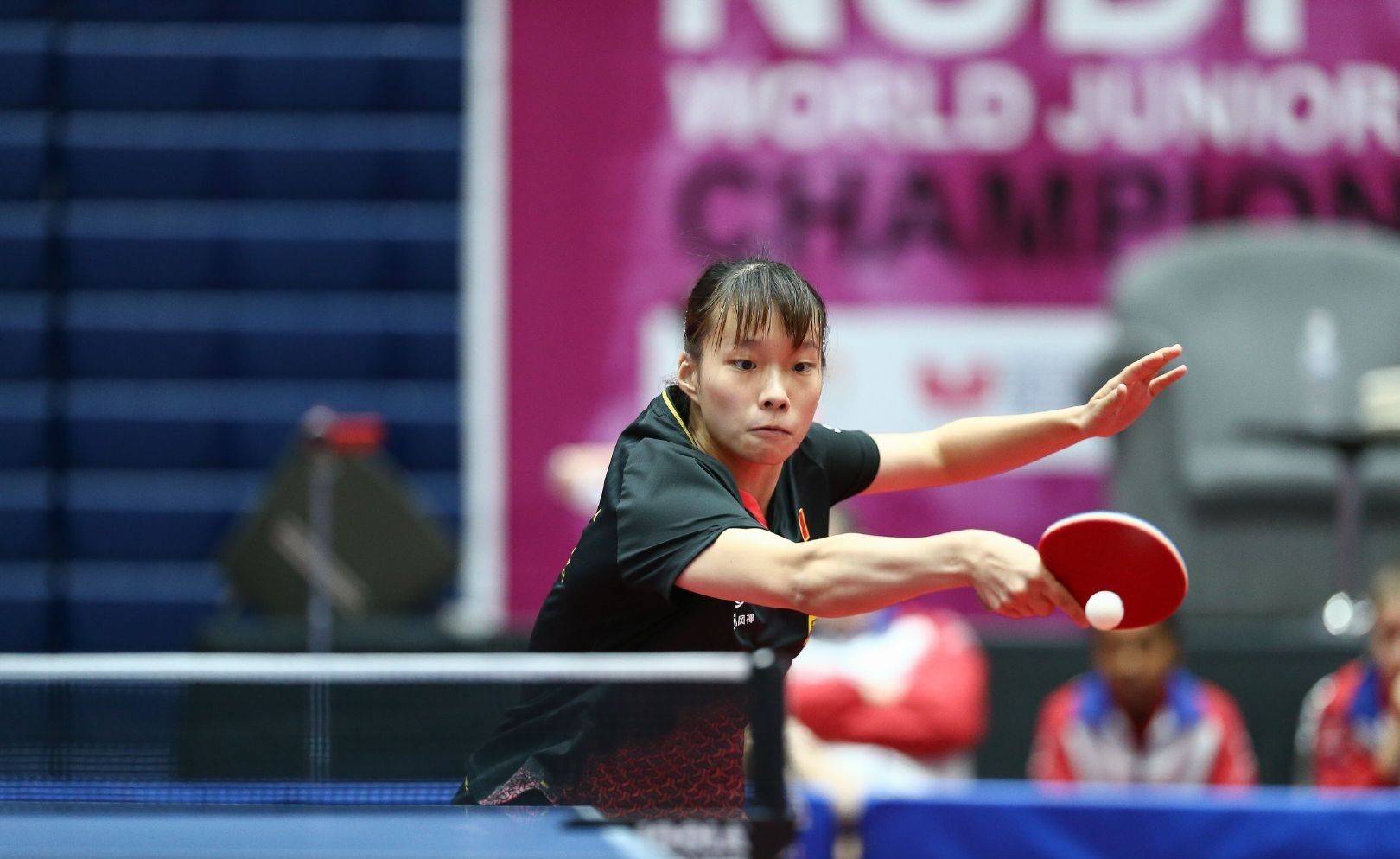 彼此放大 彼此放大