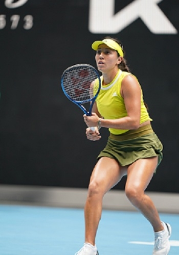 商业化建议 商业化建议