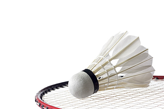 艾顿接受采 艾顿接受采